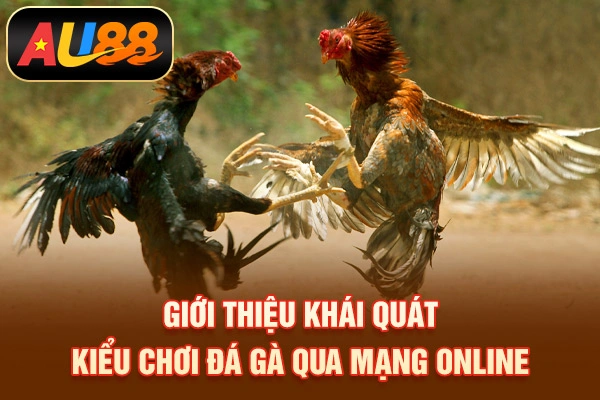 Cách Đá Gà Mạng Luôn Thắng Tại AU88 Cho Người Mới Giới thiệu khái quát kiểu chơi đá gà qua mạng online