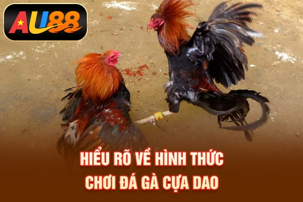 Đá Gà Cựa Dao –Siêu Phẩm Giải Trí Nổi Danh 2026 Hiểu rõ về hình thức chơi đá gà cựa dao